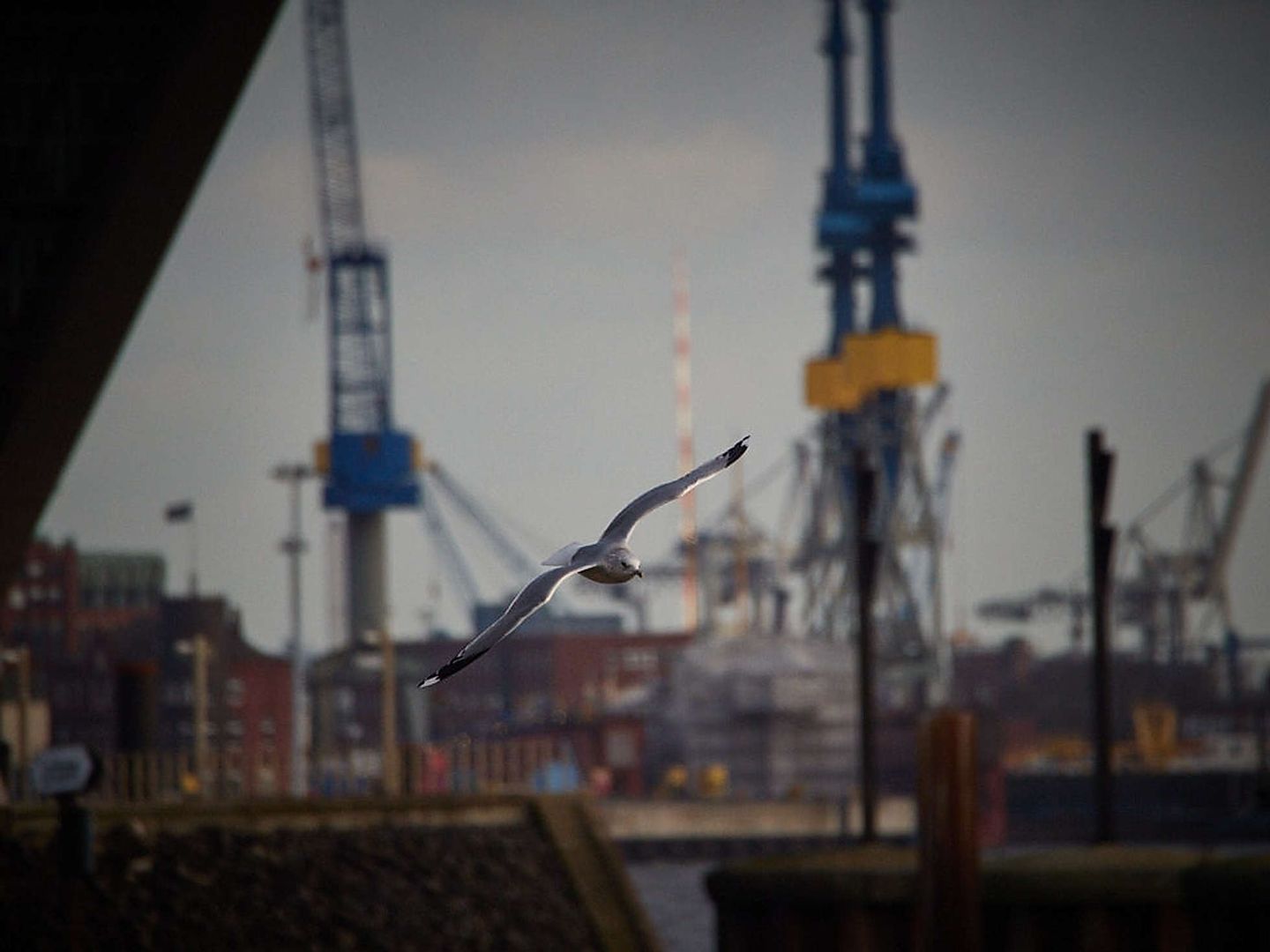 2019_12_2019-12-15-hafen-70