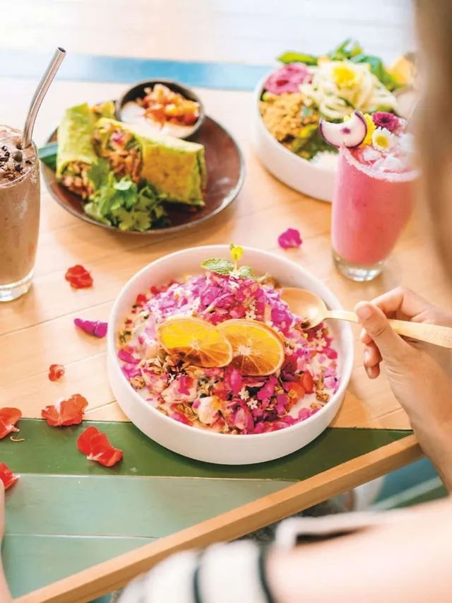 `the-vegan-travel-handbook-lonely-planet`