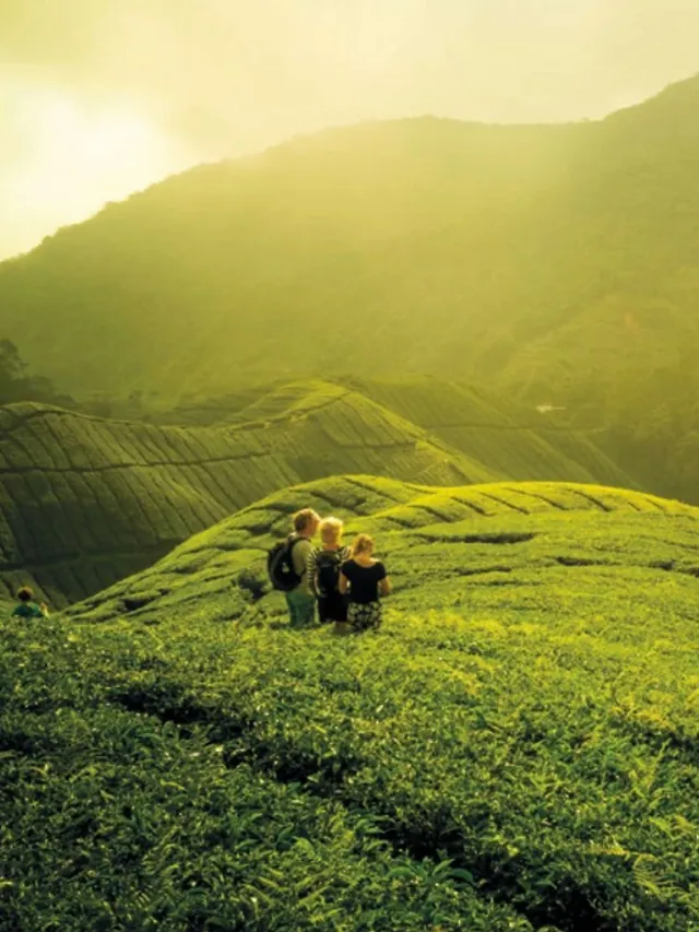 `the-vegan-travel-handbook-lonely-planet`