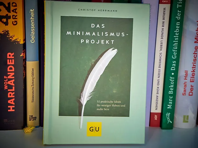 "Das Minimalismus-Projekt"
