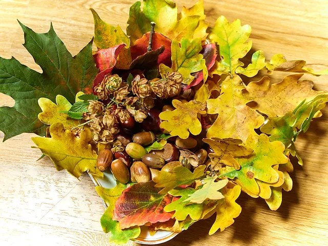 Herbstliches Potpourri