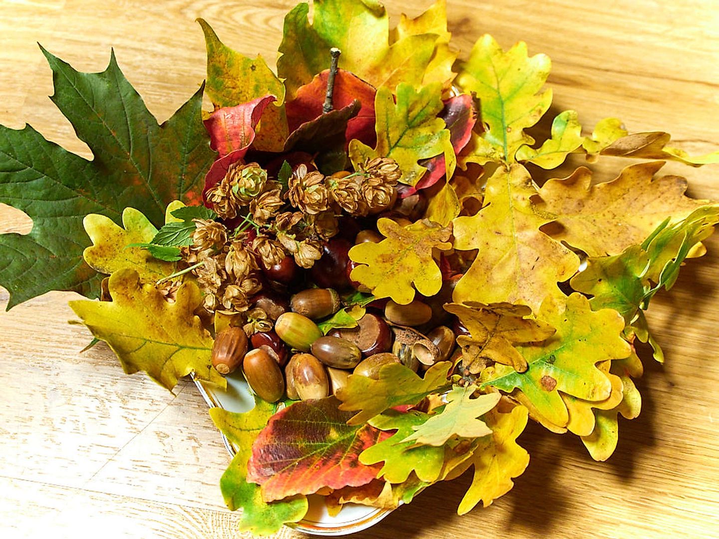 Herbstliches Potpourri