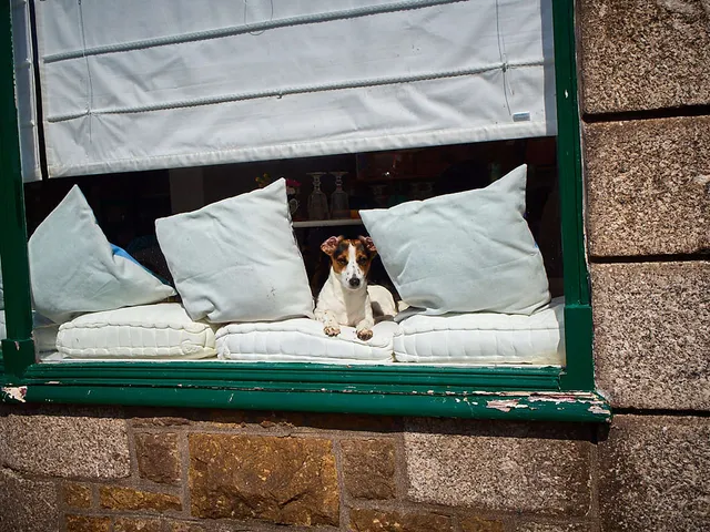 Glückliches Wiedersehen in Penzance