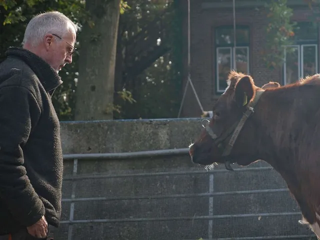 `Begegnung mit einer Kuh. Foto: Hof Butenland`
