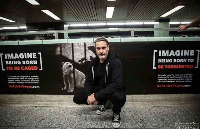 And the Oscar goes to...