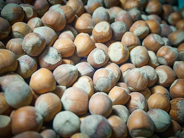 `haselnuesse-hof-windkind`