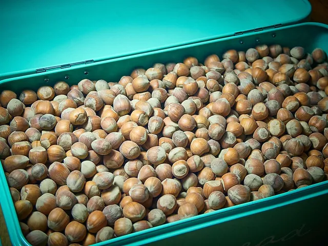 `haselnuesse-hof-windkind`