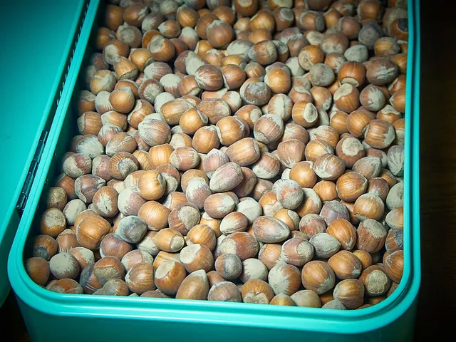 `haselnuesse-hof-windkind`