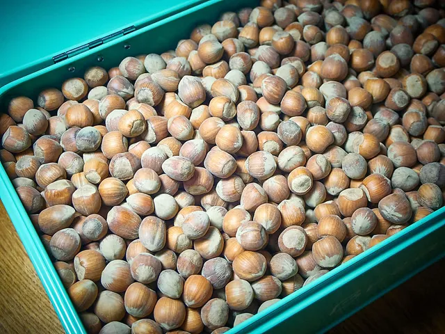 Bio-vegane Haselnüsse