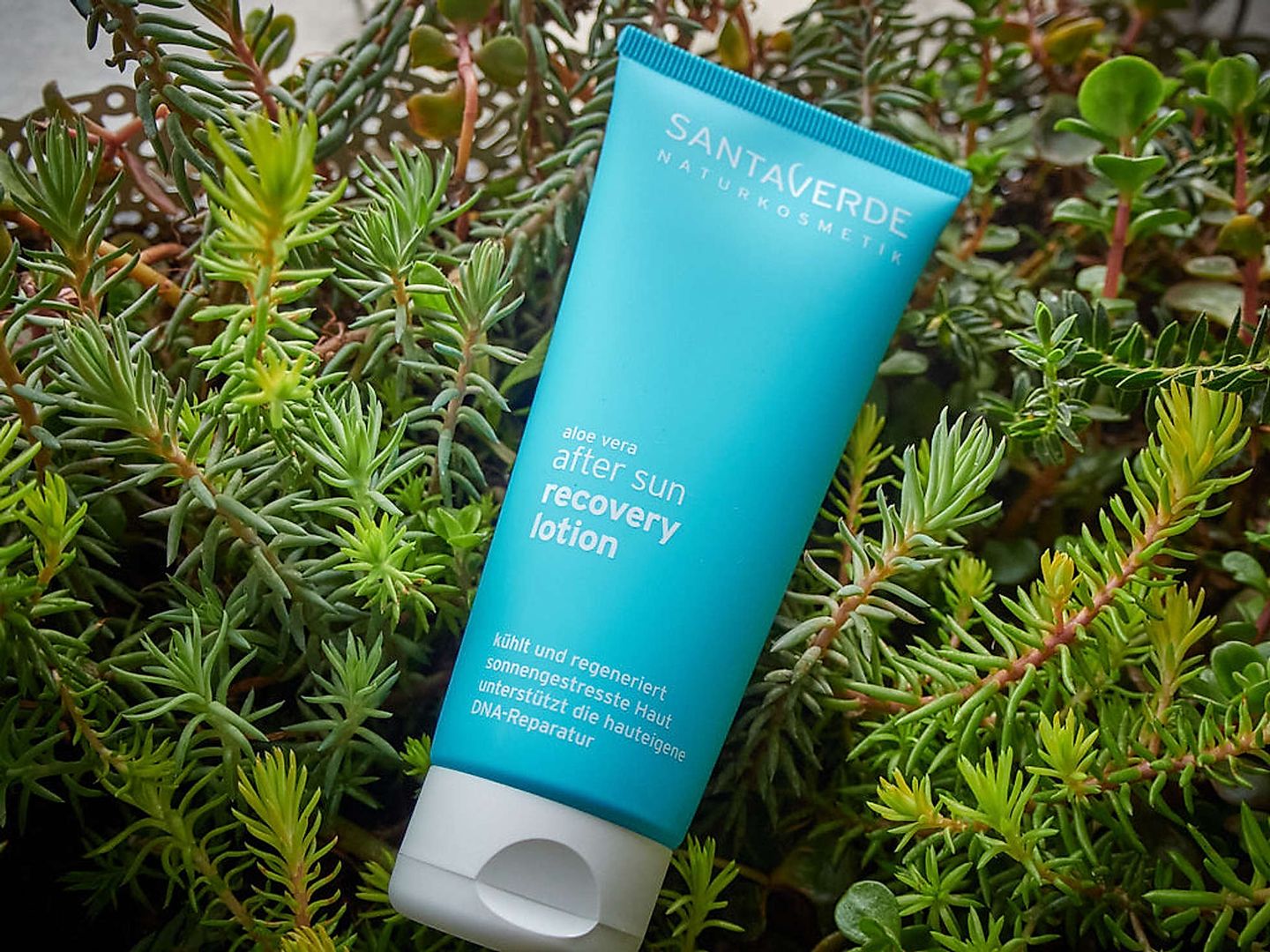 2020_03_2020-03-20-santaverde-2