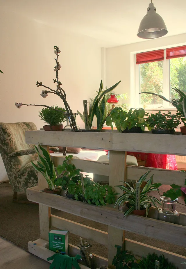 `green-haven-gruenderin-christiane-kajuete`