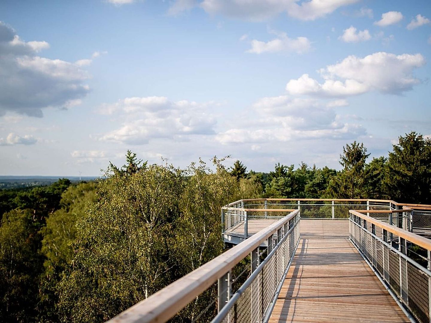 2020_04_heidehimmel2