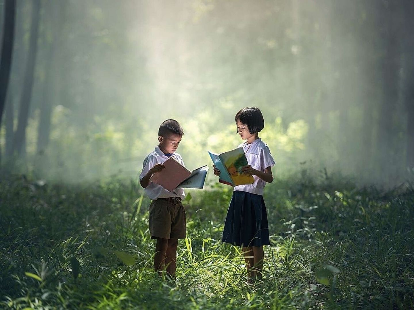 2020_06_fleischfreie-ernaehrung