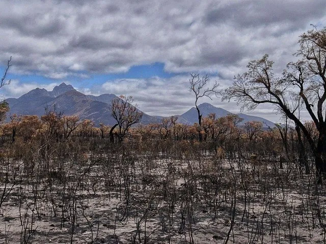 Buschfeuer in Australien