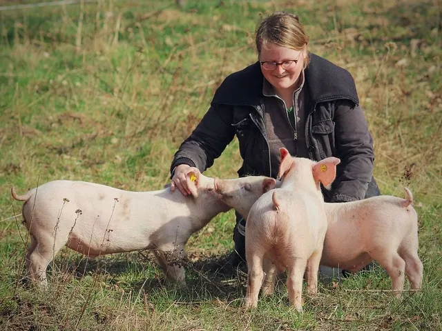 `Felix, Helge und Knut. Foto: Land der Tiere`