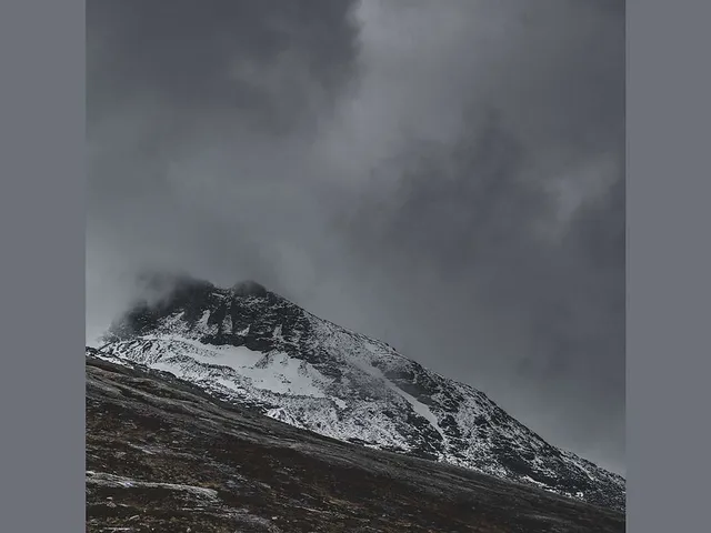 `Carlos Ferreira Interview`