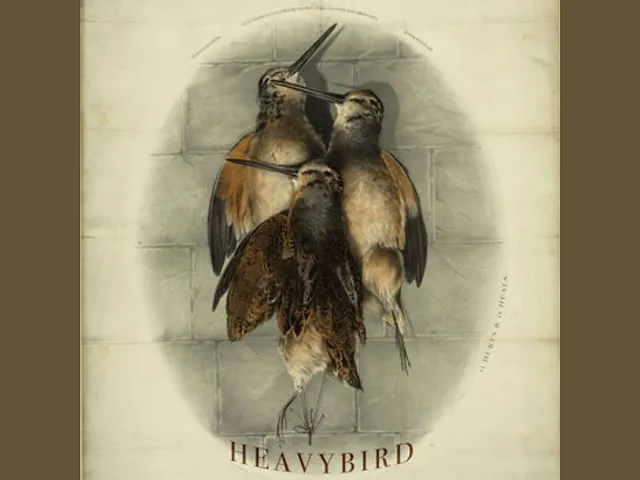 `Heavybird – "It Hurts And It Heals" (LP)`