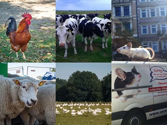 Tierschutzkongress 2020