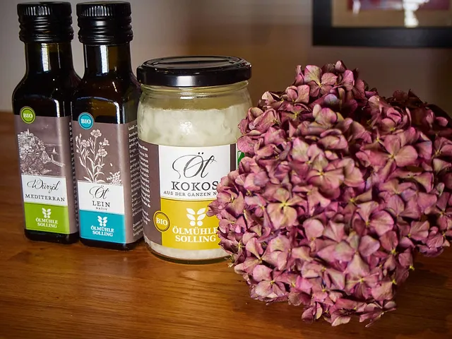 Die Ölmühle Solling