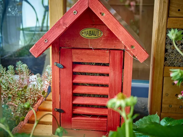 So funktioniert ein Florfliegenkasten