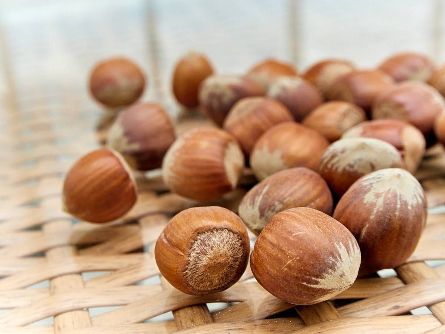 2021-11-20---2021-04-26-hof-windkind-33-jpg-imagine-d8d8d8_bd9c82_1024_768