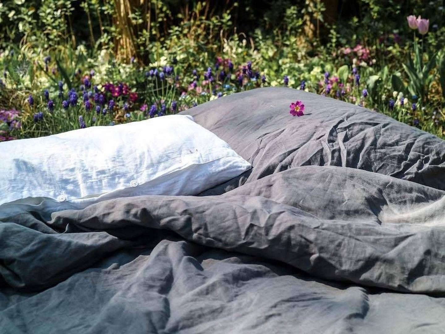 2021-11-20---2021-05-seit1832-jpg-imagine-080808_6e726e_1024_768