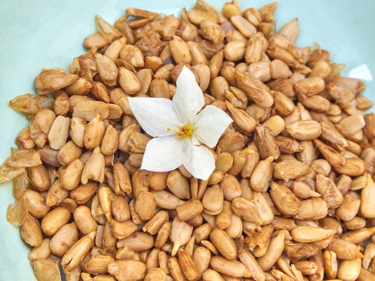 2021-11-20---2021-06-20-aho-bio-29final-jpg-imagine-c8e8e8_c7a378_1024_768