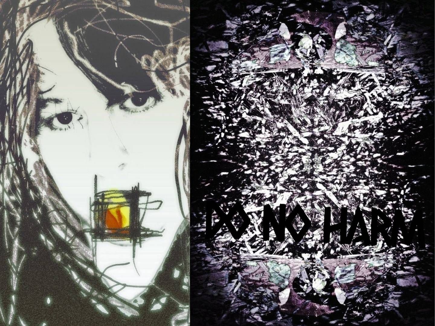 2021-11-20---arvensis-do-no-harm-3-jpg-imagine-080808_696767_1024_768