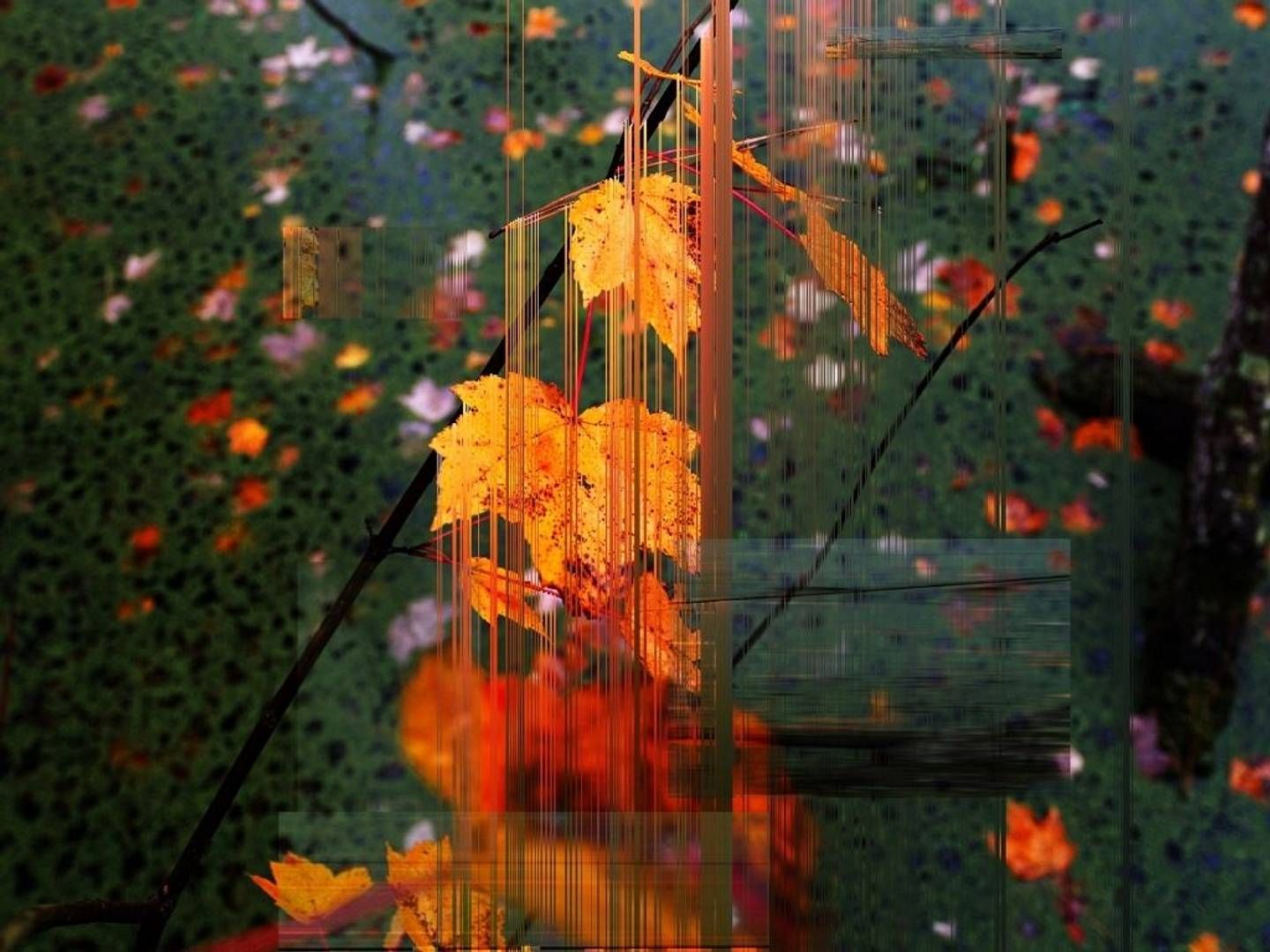 2021-11-20---color-of-time-2-jpg-imagine-283828_483a24_1024_768