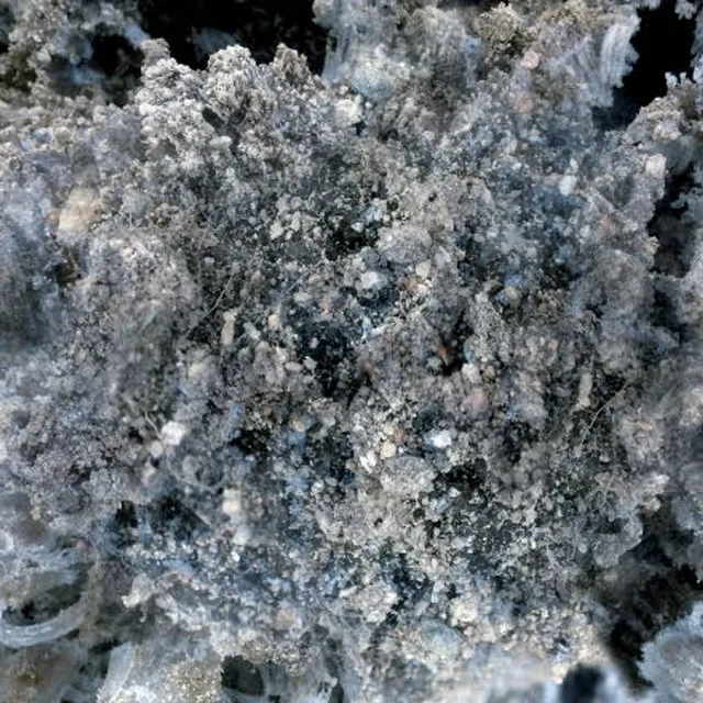 Horte – "Maa antaa yon vaientaa"