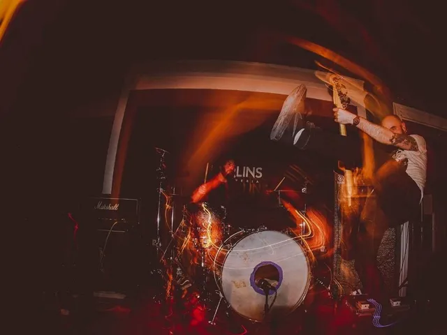 Malämmar. Bild/Picture: © Sergi Vila