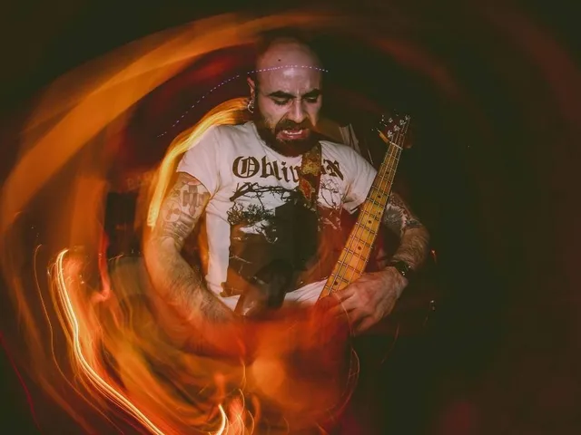 Malämmar. Bild/Picture: © Sergi Vila