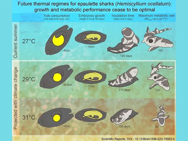 `Graphical © by Carolyn Wheeler`