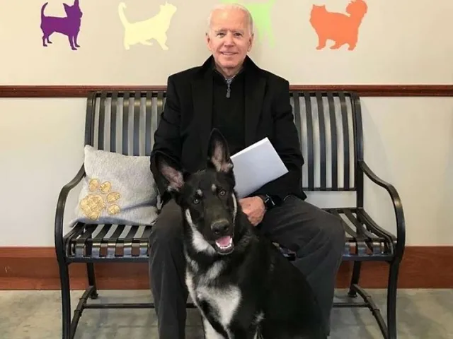 Joe Biden bringt Hunde zurück ins Weiße Haus