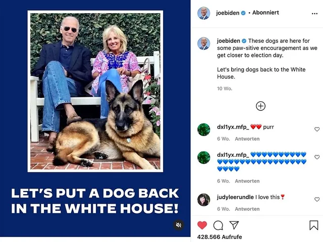 `"Let's put a dog back in the White House". Foto/picture: Joe Biden, Instagram`