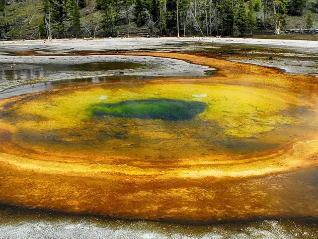 Mikroben-Protein als Fleischersatz