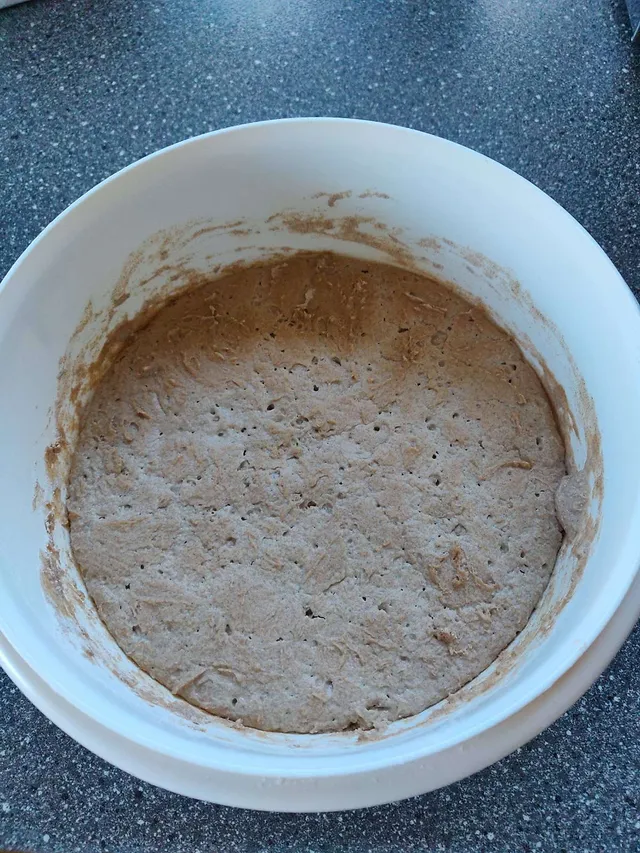 So sieht der Sauerteig am nächsten Morgen aus.