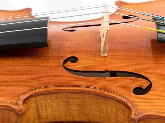 Die erste vegane Geige