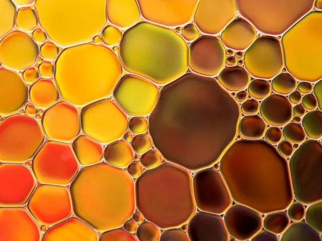 Mikroalgenöl als Palmöl-Alternative