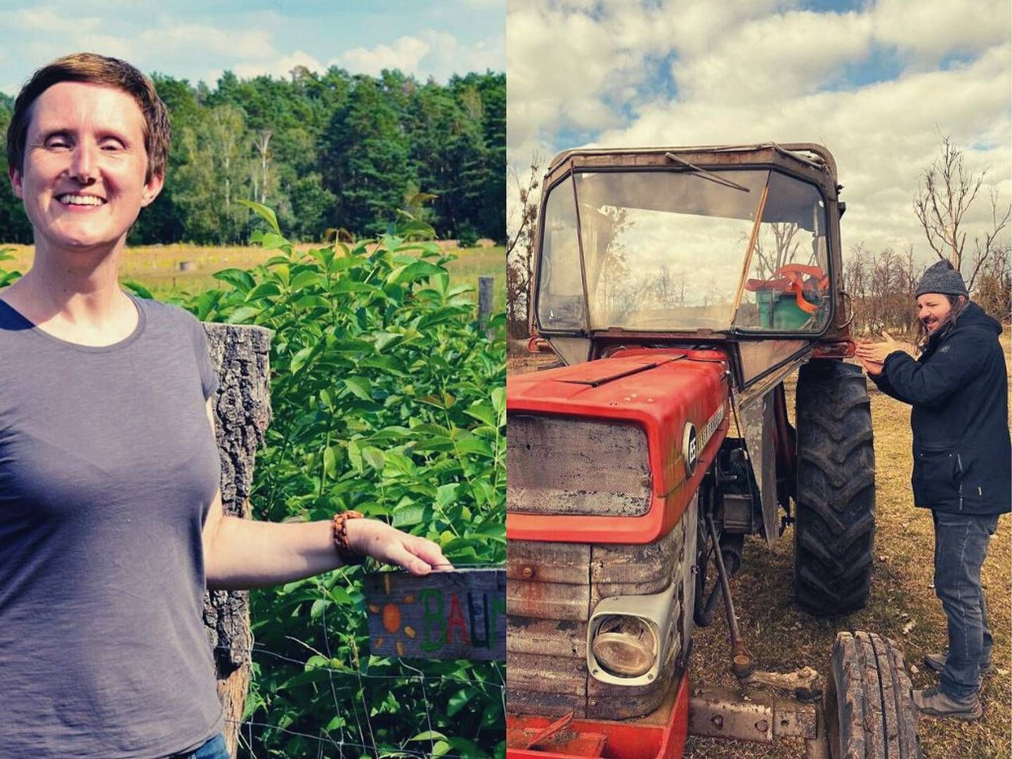 2022-05-03---hof-windkind-jpg-imagine-d8d8b8_807b6c_1024_768