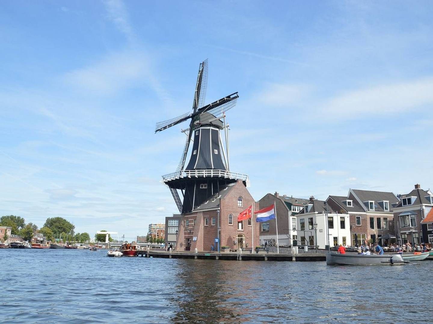 2022-09-21---haarlem-verbietet-fleischwerbung-jpeg-imagine-b8d8f8_97b0ca_1024_768