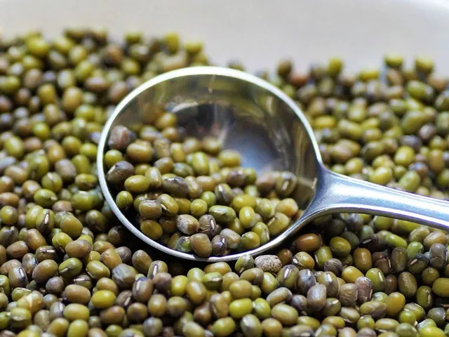 Warum wir zum Muskelaufbau Protein brauchen