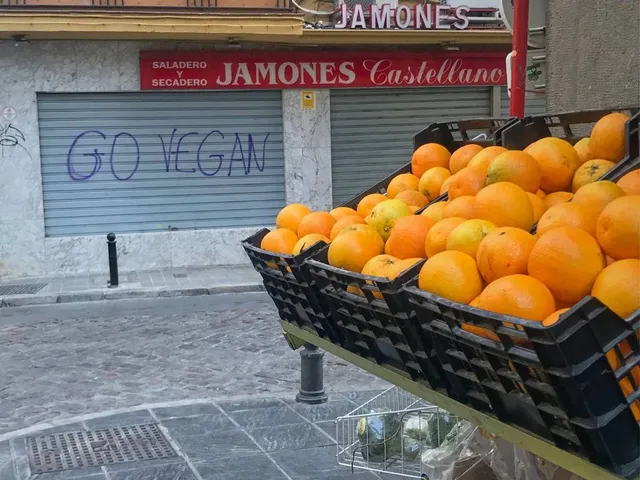 COPLANT-Studie soll vegane Ernährung erforschen