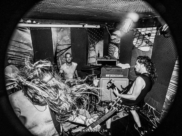 An Evening With Knives