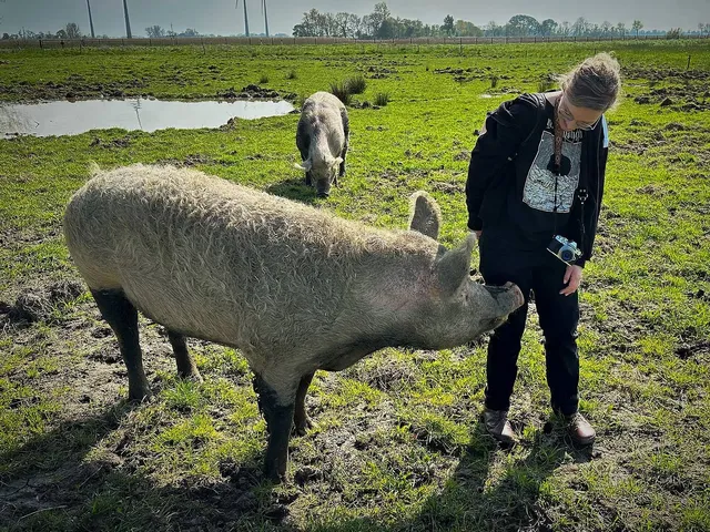 Zu Besuch auf Hof Butenland