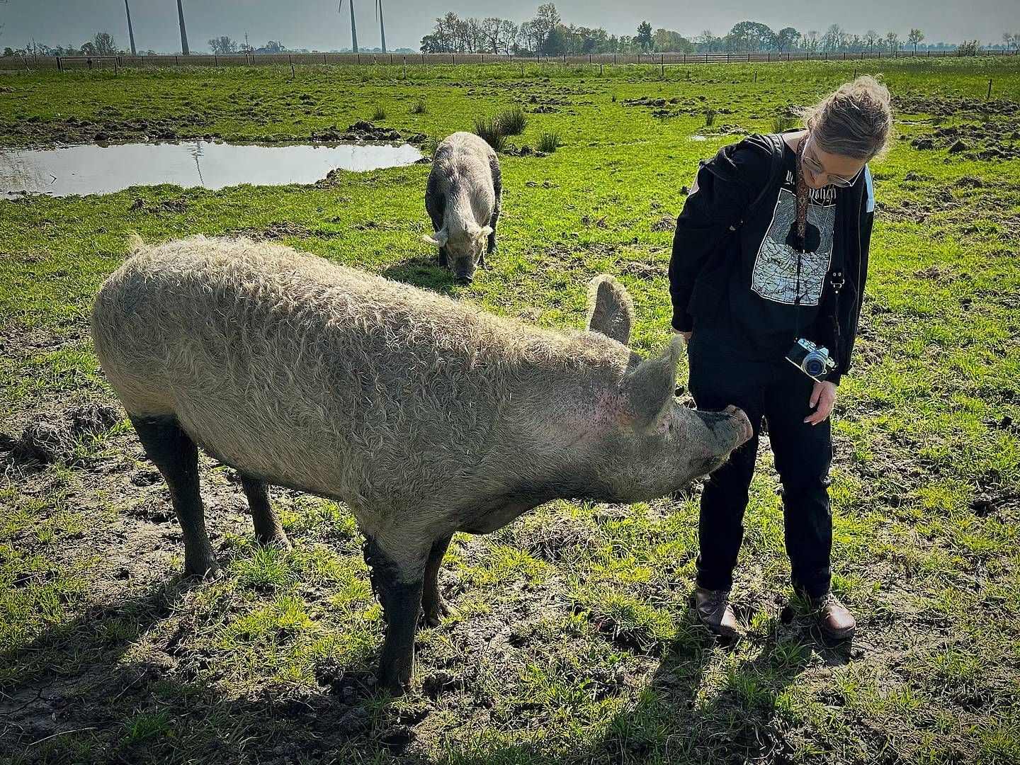 2023-05-08---2023-17-2023-17-hof-butenland-anne-reis-sounds-vegan-183-jpg-imagine-080808_646948_2048_1536