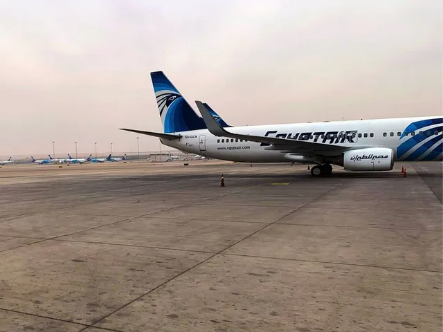 Airline fliegt Affen in Versuchslabore