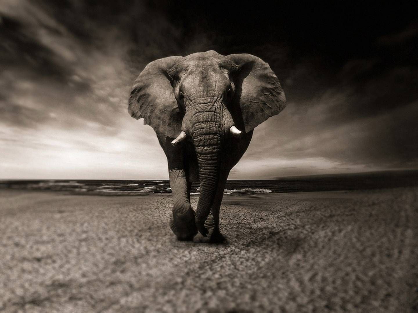 2023-10-13---biodiversitaet-jpeg-imagine-080808_574e46_1024_768