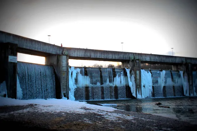Die Wasserkrise mit pflanzlichen Lebensmitteln abwenden