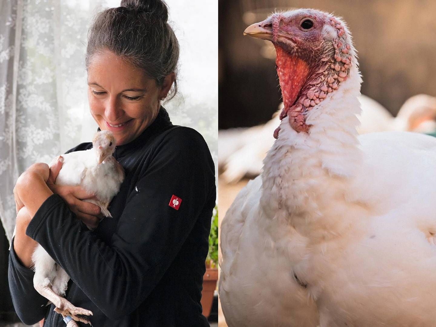 2023-10-16---federherz-nadine-nitz-jpeg-imagine-181818_907e79_1024_768